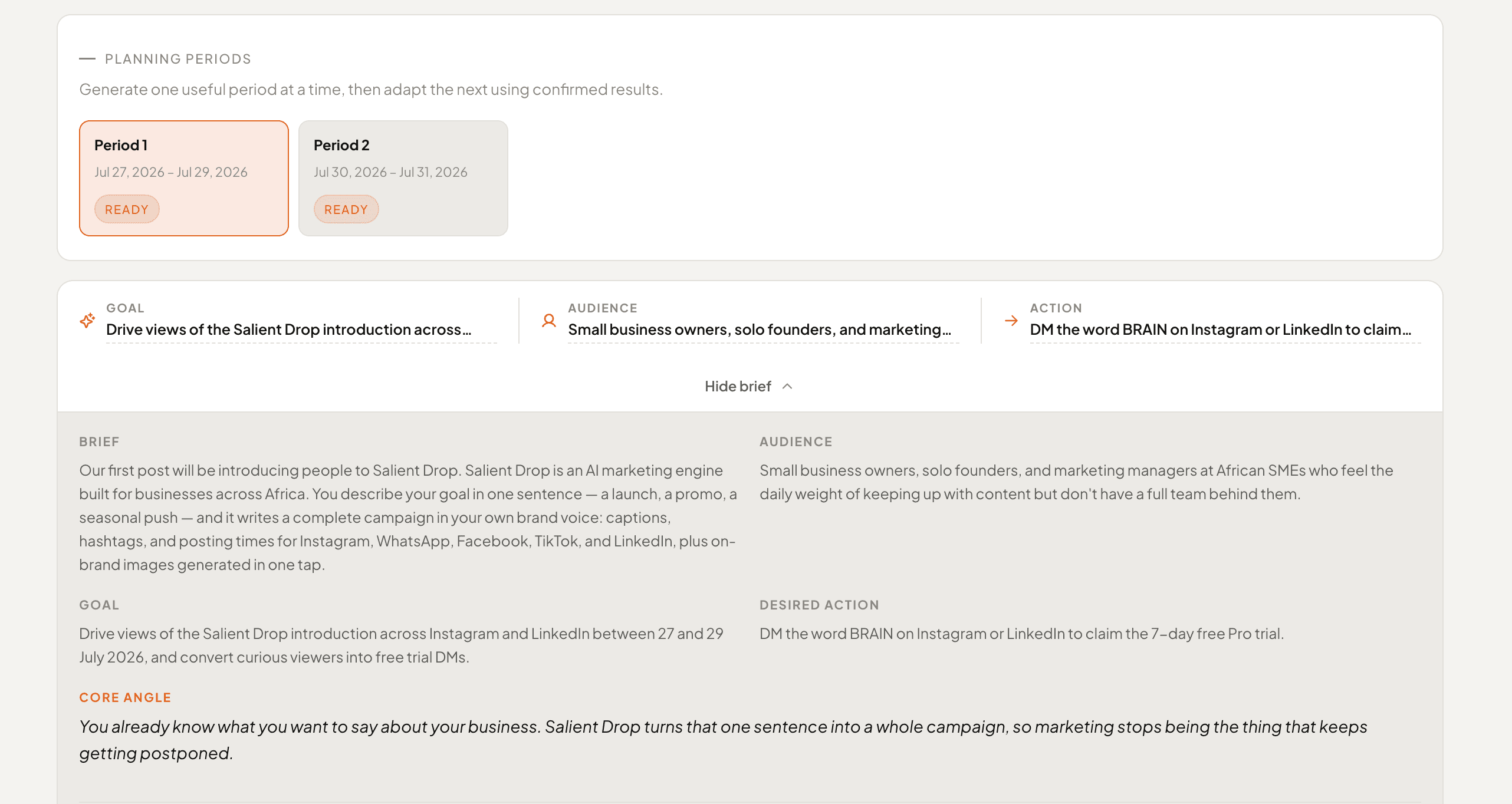 Campaign brief and planning periods in Salient Drop