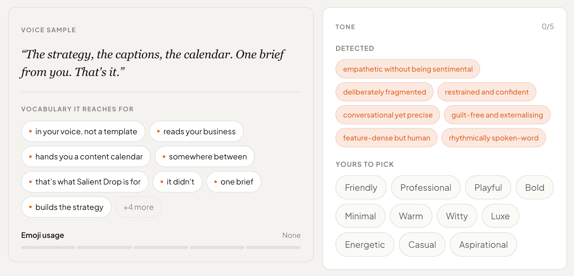 Brand voice profile in Salient Drop