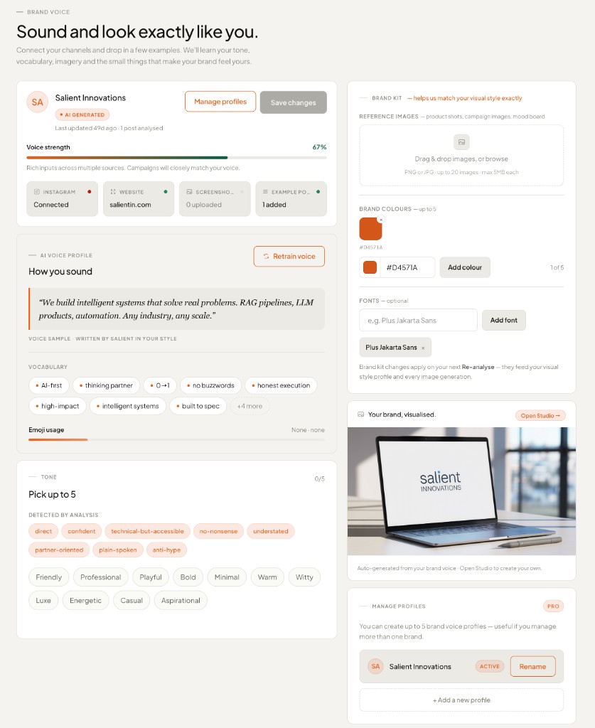 Brand voice profile showing tone, vocabulary, brand kit, and visual style settings